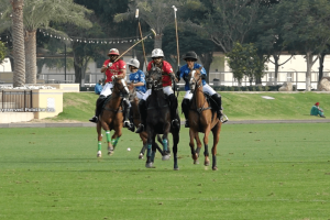 UAE Polo Federation Cup: AM Polo primer finalista